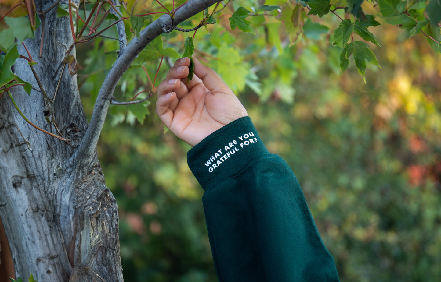 Adults Gratitude Crewneck Sweater